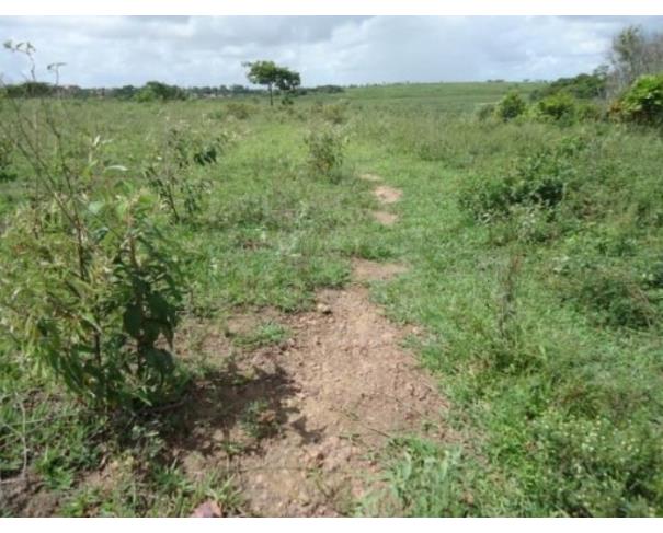 Foto de CAMPOS DOS GOYTACAZES/RJ — Terreno com 36.370,71 m² no Parque Jardim Aeroporto