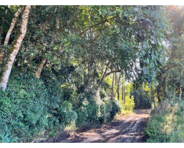 Foto de MAFRA/SC - Terreno Rural com 107.690 m² na localidade Rio Branco