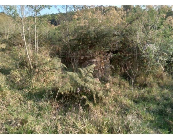Foto de CARMO DE MINAS/MG — Terreno rural com área de 6.00.00 hectares (60.000m²)