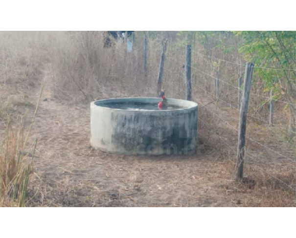 Foto de SÃO FRANCISCO/MG — Terreno Rural com 5.16.00 hectares na Fazenda Brejo dos Angicos