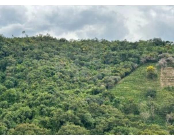 Foto de JACUTINGA/MG IMÓVEL RURAL SITUADO NO BAIRRO BOCAIÚVA COM ÁREA DE 7,5405HA