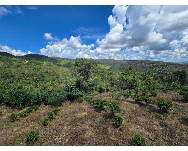 Foto de GUAPÉ/MG- FAZENDA BOQUEIRÃO