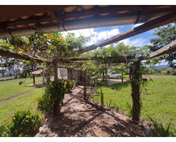 Foto de ITATIAIUÇU/MG — Fazenda com aprox. 181ha (1.800.000m²) no Teixeiras