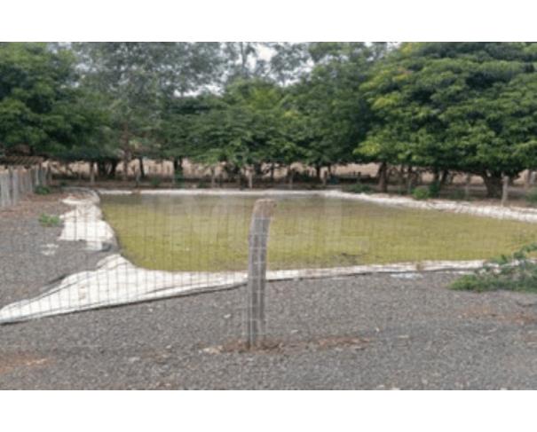 Foto de MUQUÉM DO SÃO FRANCISCO/BA – Fazenda com a área de 225,1618ha, denominada Fazenda Santa Rosa