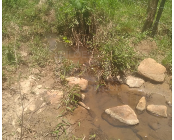 Foto de SERRA DO CAMAPUÃ/MG — Terreno Rural com 18.42.57 hectares no Pasto de Trás 