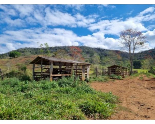Foto de JOSÉ RAYDAN/MG — Terreno Rural com 2.90.00 hectares