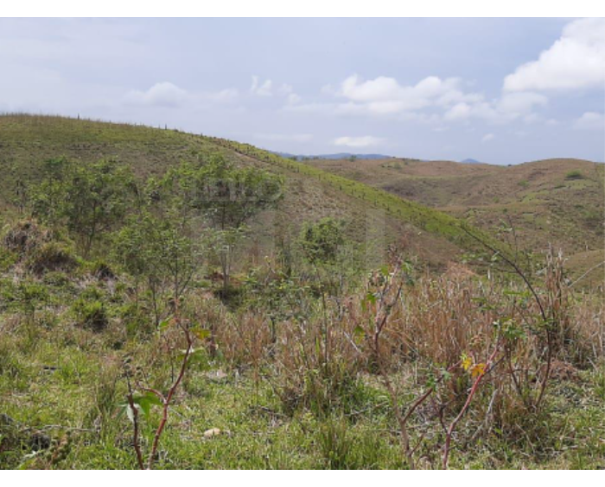 Foto de VOLTA REDONDA/RJ — Terreno com 221.094,13m² no bairro Roma II.