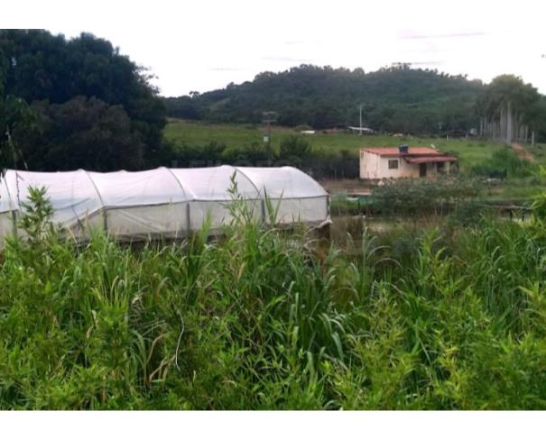 Foto de GUARANÉSIA/MG — Sítio com 7.200,00m² contendo 01 tanque para pesca no Santa Cruz da Barra