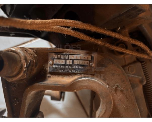 Foto de PONTES GESTAL/SP - Roçadeiras, Motor de barco