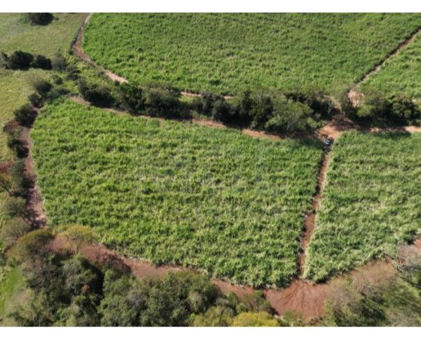 Foto de ITAPAGIPE/MG – Terreno Rural com 10.55.14 hectares na Fazenda Moeda ou Moeda de Cima