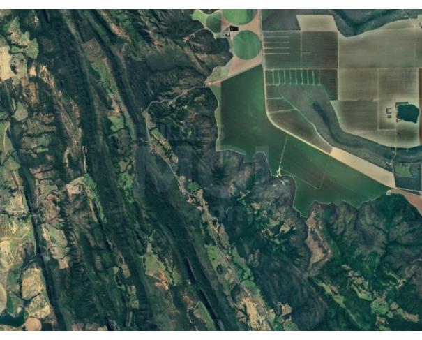Foto de UNAÍ/MG — Fazenda com 130.00 hectares na Fazenda "Camisa"