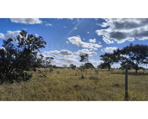 Foto de JOÃO PINHEIRO/MG-TERRENO NA FAZENDA SÃO BARTOLOMEU