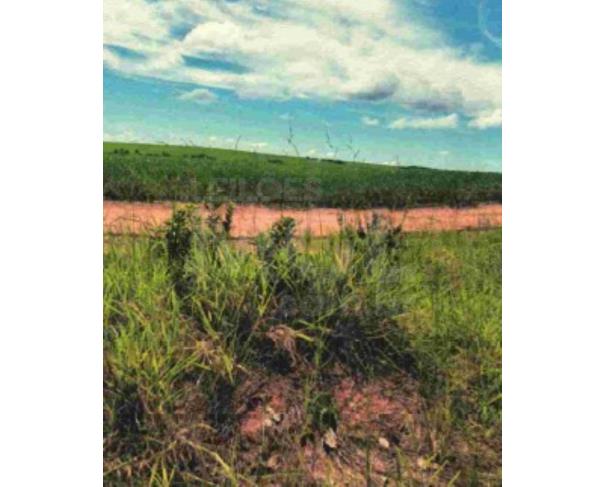 Foto de PRESIDENTE OLEGÁRIO/MG – Terreno Rural com 80.62.71 hectares na Fazenda Andrequicé