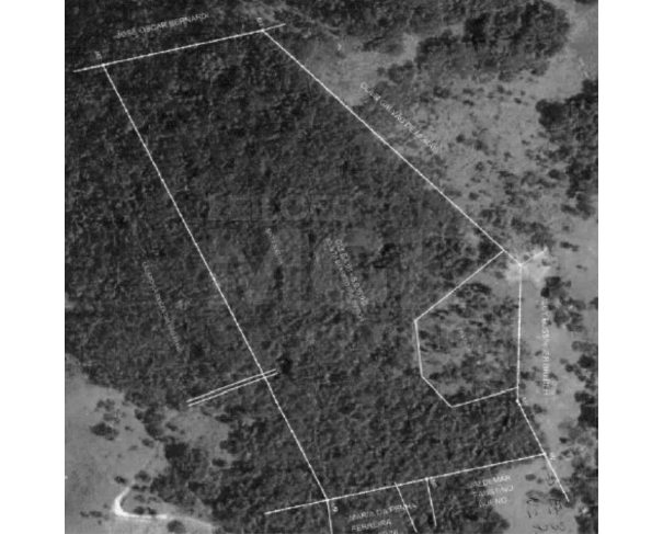 Foto de MONTE SIÃO/MG — Chácara com 8.03.51 hectares (80,351m²) no bairro Firminada