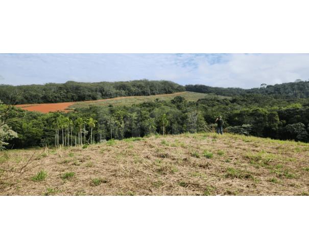 Foto de BOA ESPERANÇA/MG – Área rural com 2,42,00ha, localizada na Fazenda Barro Vermelho, Sitio Piripau