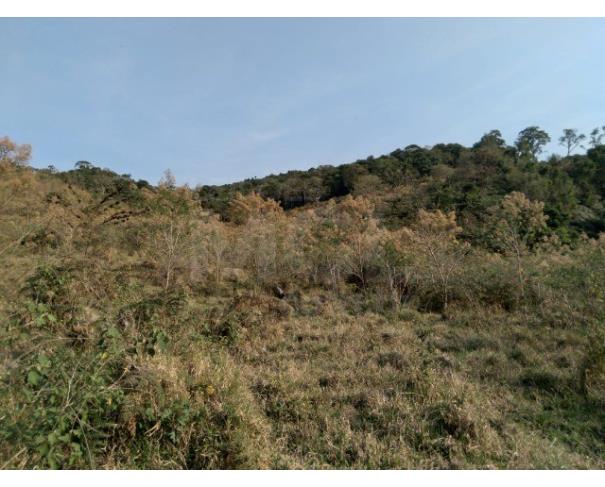 Foto de CARMO DE MINAS/MG — Terreno rural com área de 6.00.00 hectares (60.000m²)