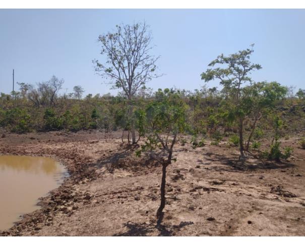 Foto de LUISLÂNDIA/MG - Fazenda com 92.00.33 hectares na Fazenda Macacos