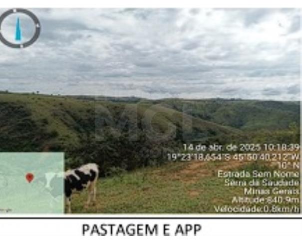Foto de SERRA DA SAUDADE/MG- FAZENDA LARAJEIRAS 