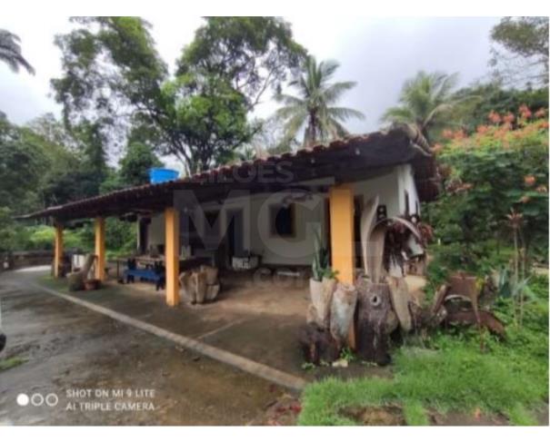 Foto de CATAGUASES/MG — Terreno Rural com 5.16.26 hectares no Sítio das Palmeiras