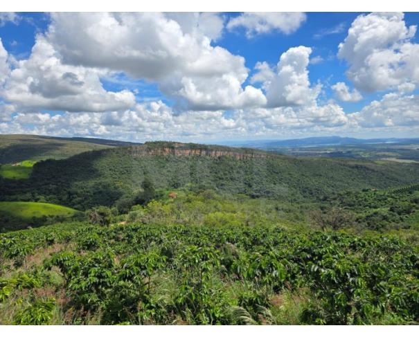 Foto de GUAPÉ/MG- FAZENDA BOQUEIRÃO