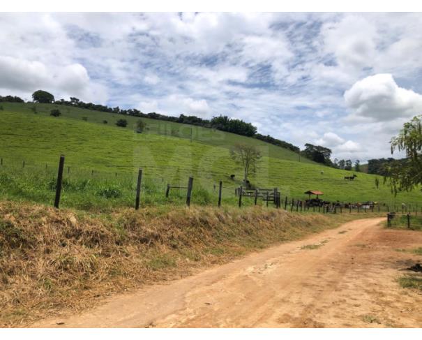Foto de BOM JESUS DO GALHO/MG – Sítio com a área de 41,88,78ha², denominado Ribeirão do Galho