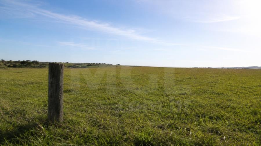 LUZ/MG – Fazenda Noruega com a área de 45,84,05ha no distrito de Esteios IMÓVEIS PARA INVESTIMENTO | MG, localizado em Luz - MG