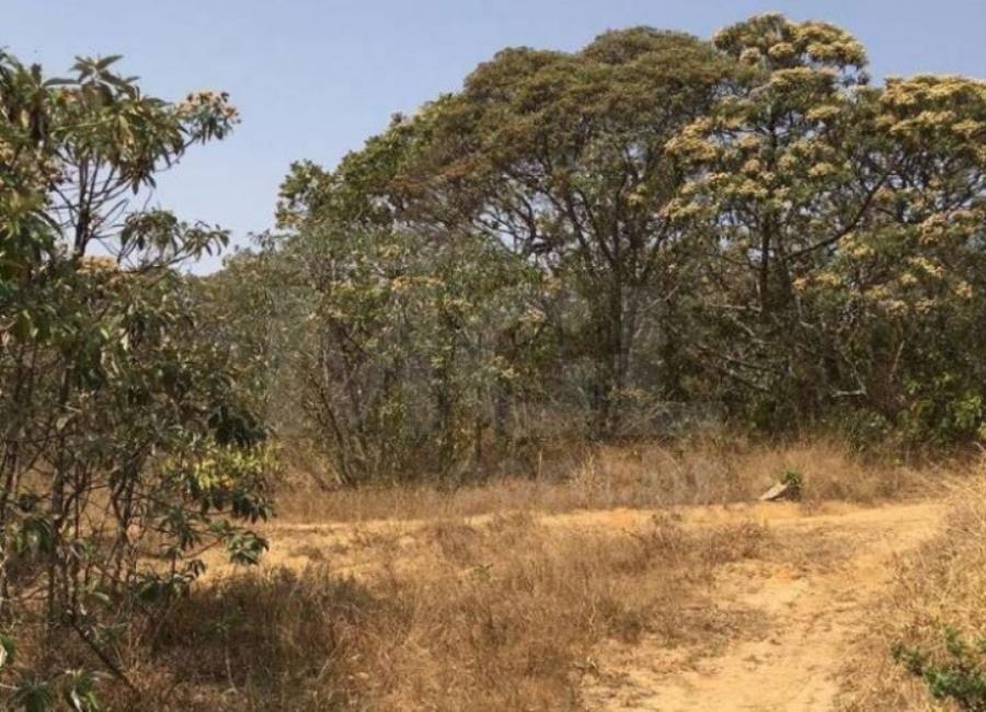 Imagem do imóvel SÃO THOMÉ DAS LETRAS/MG — Terreno Rural com 22,52,00 hectares na "Serra do Pião" IMÓVEIS | MG | MA