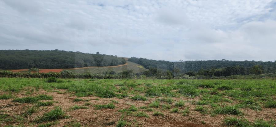 Imagem do imóvel BOA ESPERANÇA/MG – Gleba rural com 4,85,20ha, situada no Sítio Agropecuária Friesp IMÓVEIS PARA INVESTIMENTO | MG