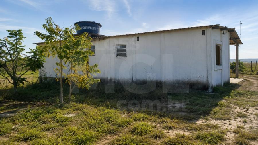 LUZ/MG – Fazenda Noruega com a área de 45,84,05ha no distrito de Esteios IMÓVEIS PARA INVESTIMENTO | MG, localizado em Luz - MG