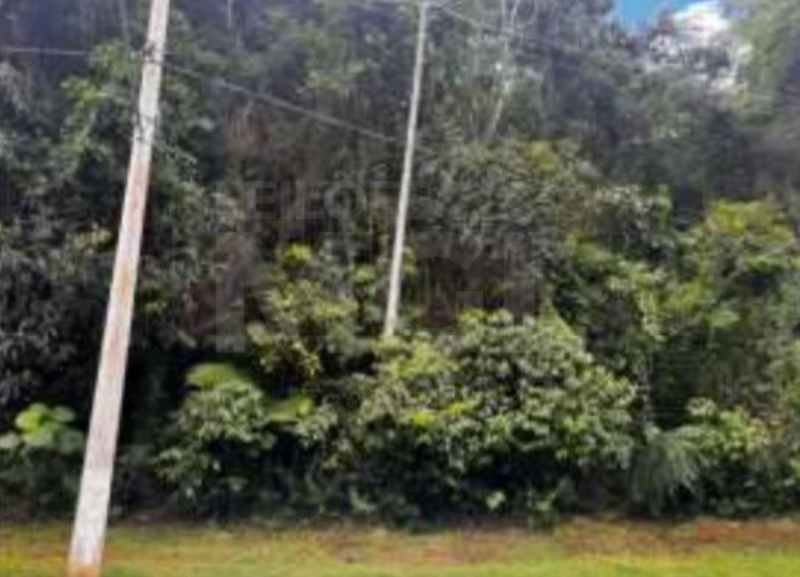 NOVA LIMA/MG — Lote com 1.201,53m² na Vila do Conde IMÓVEIS / MG /MT, localizado em Nova Lima - MG