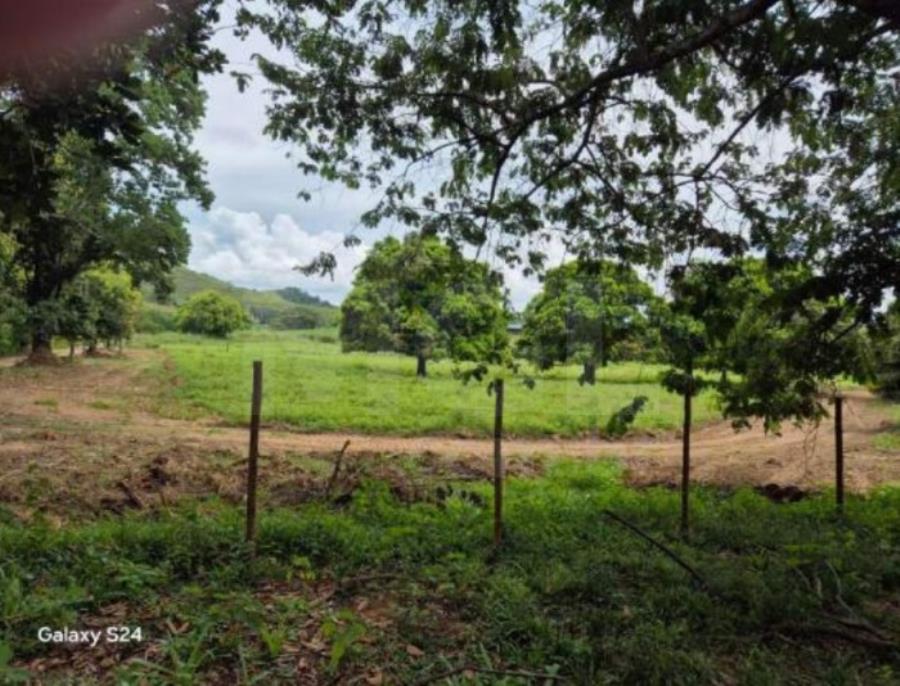 LEOPOLDINA/MG — Fazenda com 46.15.70 hectares na Fazenda São Sebastião IMÓVEIS | MG, localizado em Leopoldina - MG