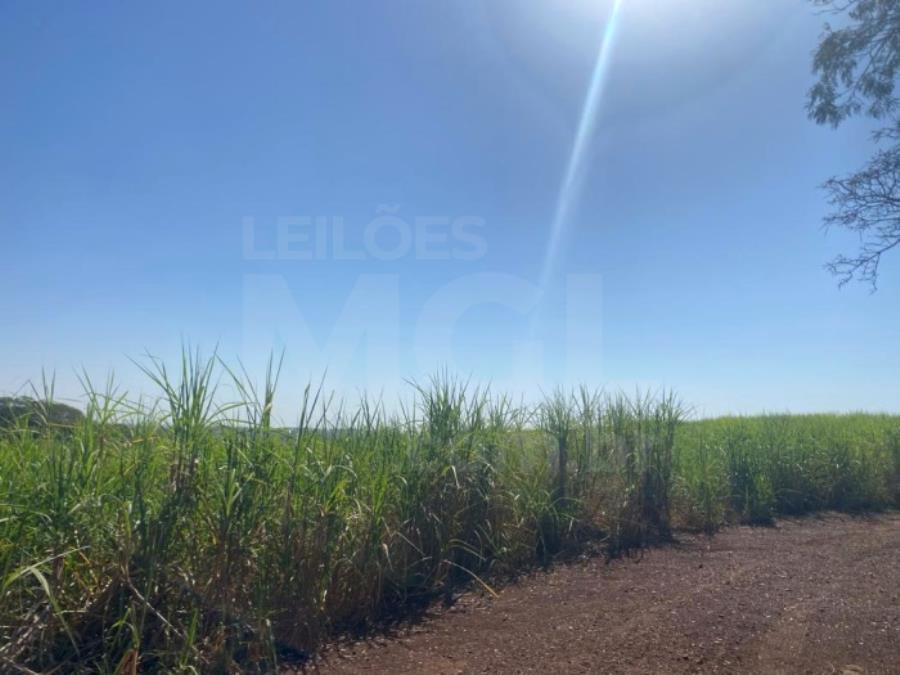 ITAPAGIPE/MG – Fração ideal de 12,5% da Fazenda Moeda ou Moeda de Cima, equivalente a 10,55,14 ha LEILÃO EXTRAJUDICIAL DE IMÓVEIS, localizado em Itapagipe - MG
