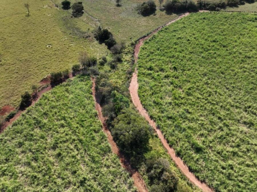 ITAPAGIPE/MG – Fração ideal de 12,5% da Fazenda Moeda ou Moeda de Cima, equivalente a 10,55,14 ha LEILÃO EXTRAJUDICIAL DE IMÓVEIS, localizado em Itapagipe - MG
