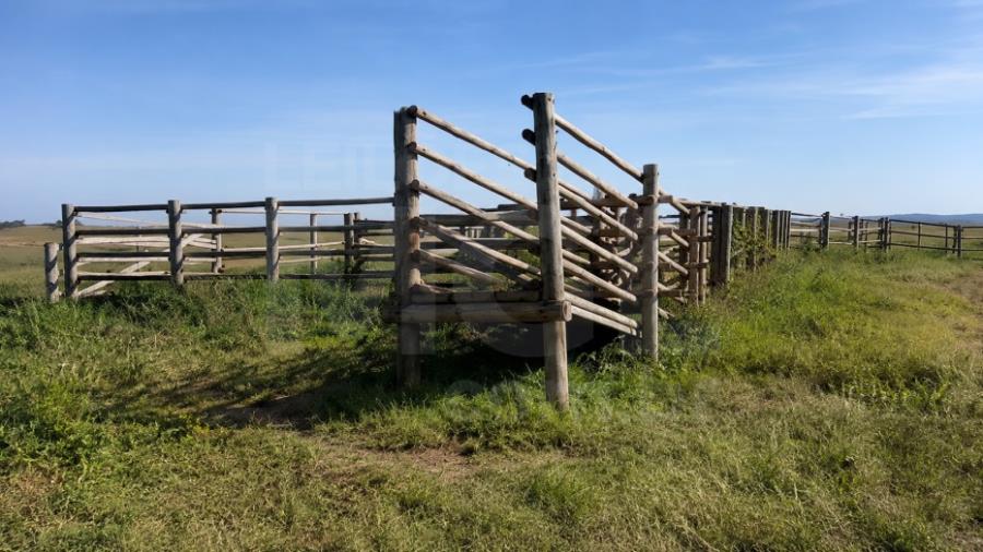 LUZ/MG – Fazenda Noruega com a área de 45,84,05ha no distrito de Esteios IMÓVEIS PARA INVESTIMENTO | MG, localizado em Luz - MG