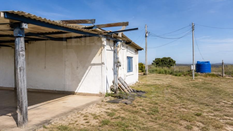 LUZ/MG – Fazenda Noruega com a área de 45,84,05ha no distrito de Esteios IMÓVEIS PARA INVESTIMENTO | MG, localizado em Luz - MG