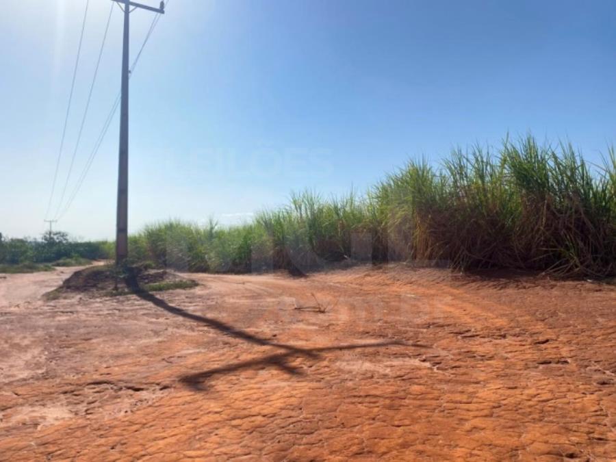 ITAPAGIPE/MG – Fração ideal de 12,5% da Fazenda Moeda ou Moeda de Cima, equivalente a 10,55,14 ha LEILÃO EXTRAJUDICIAL DE IMÓVEIS, localizado em Itapagipe - MG