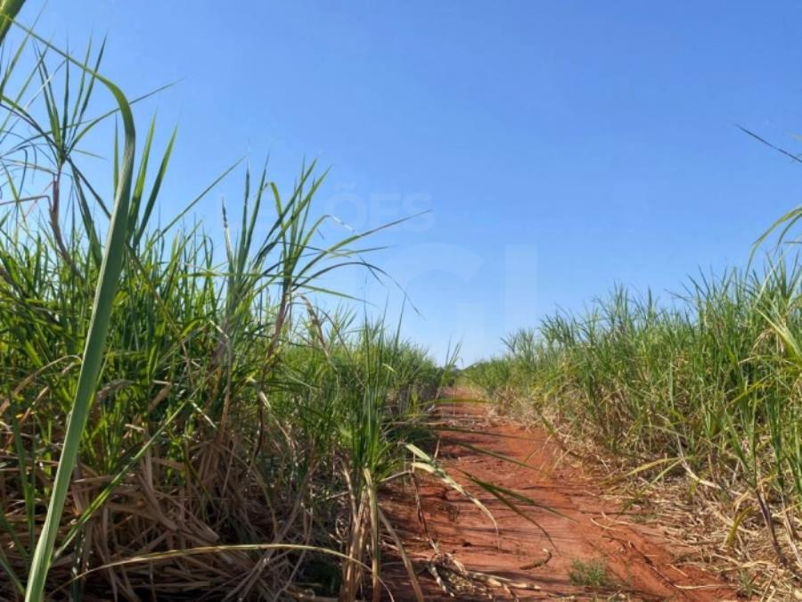 ITAPAGIPE/MG – Fração ideal de 12,5% da Fazenda Moeda ou Moeda de Cima, equivalente a 10,55,14 ha LEILÃO EXTRAJUDICIAL DE IMÓVEIS, localizado em Itapagipe - MG