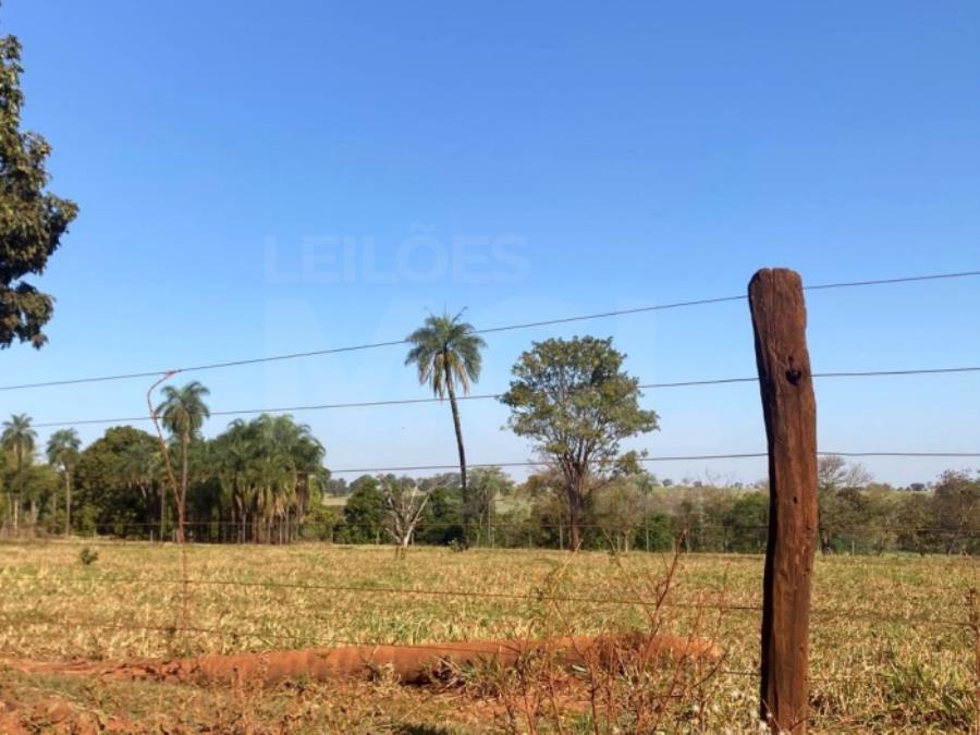 ITAPAGIPE/MG – Fração ideal de 12,5% da Fazenda Moeda ou Moeda de Cima, equivalente a 10,55,14 ha LEILÃO EXTRAJUDICIAL DE IMÓVEIS, localizado em Itapagipe - MG