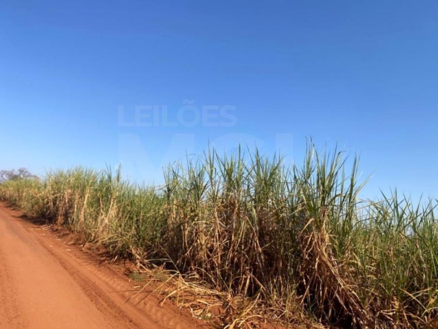 ITAPAGIPE/MG – Fração ideal de 12,5% da Fazenda Moeda ou Moeda de Cima, equivalente a 10,55,14 ha LEILÃO EXTRAJUDICIAL DE IMÓVEIS, localizado em Itapagipe - MG