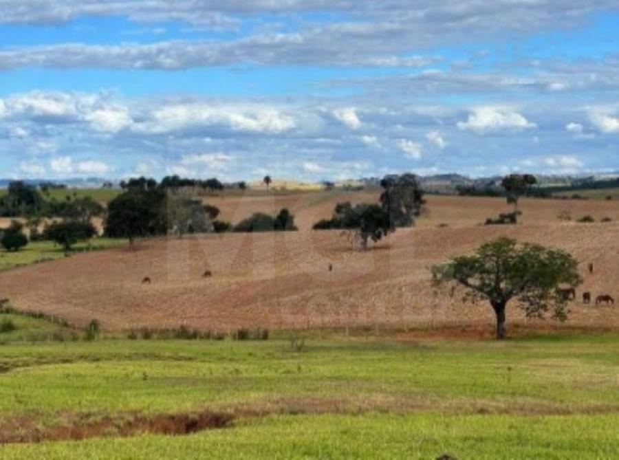 LAGOA FORMOSA/MG-TERRENO EM "FAZENDA CARRANCAS" EXTRAJUDICIAL DE IMÓVEIS, localizado em Lagoa Formosa - MG