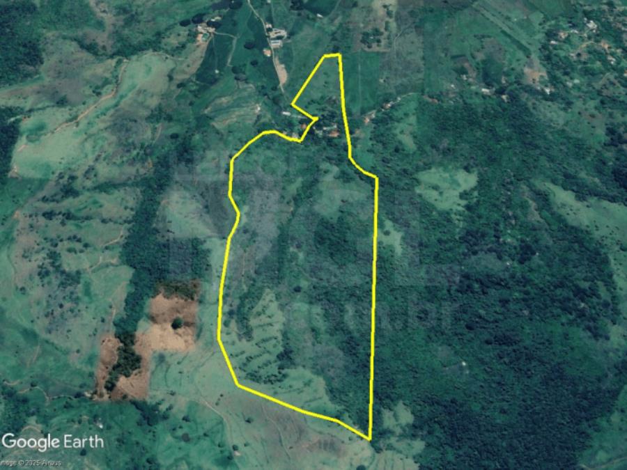 LEOPOLDINA/MG — Fazenda com 46.15.70 hectares na Fazenda São Sebastião IMÓVEIS | MG, localizado em Leopoldina - MG