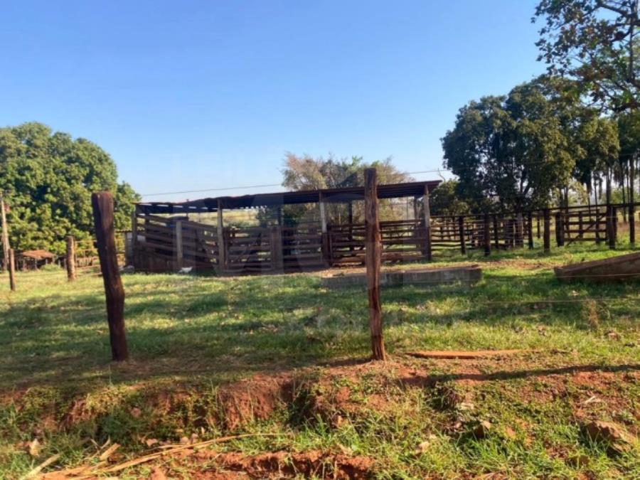 ITAPAGIPE/MG – Fração ideal de 12,5% da Fazenda Moeda ou Moeda de Cima, equivalente a 10,55,14 ha LEILÃO EXTRAJUDICIAL DE IMÓVEIS, localizado em Itapagipe - MG