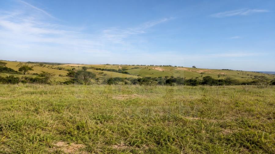 Imagem do imóvel LUZ/MG – Fazenda Noruega com a área de 45,84,05ha no distrito de Esteios IMÓVEIS PARA INVESTIMENTO | MG