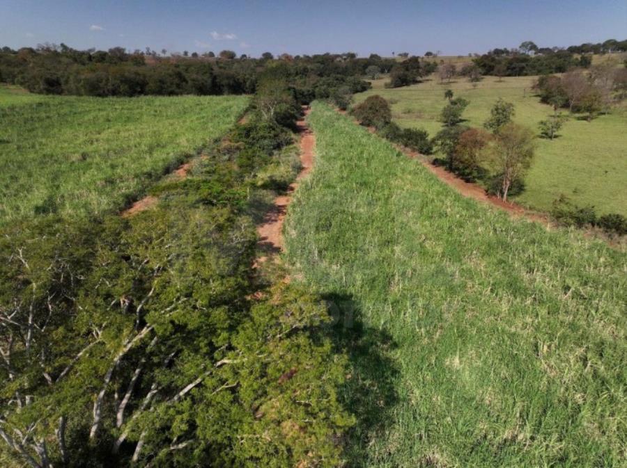 ITAPAGIPE/MG – Fração ideal de 12,5% da Fazenda Moeda ou Moeda de Cima, equivalente a 10,55,14 ha LEILÃO EXTRAJUDICIAL DE IMÓVEIS, localizado em Itapagipe - MG