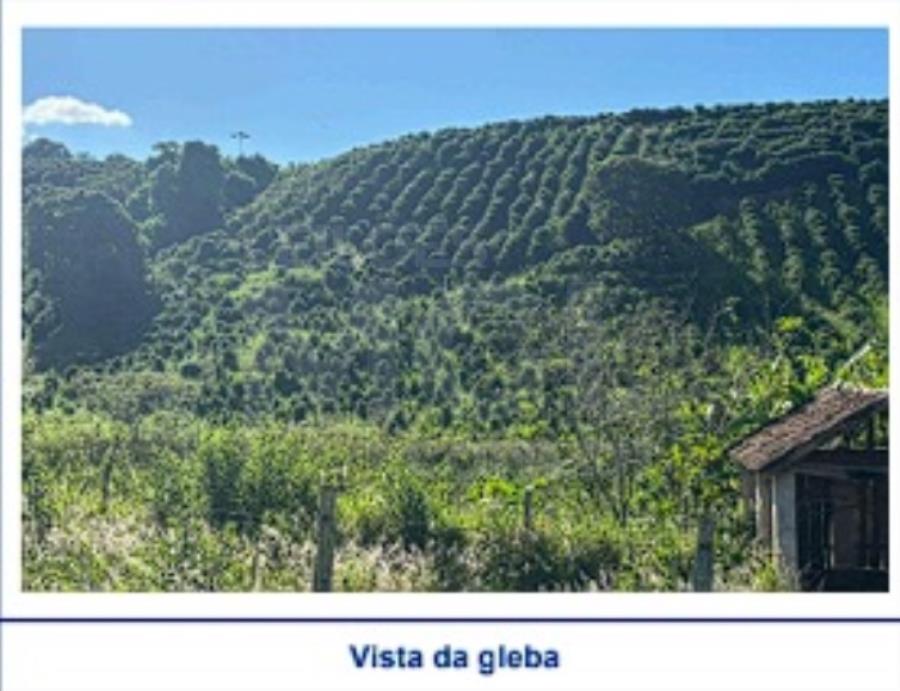 ALTEROSA/MG — Terreno Rural com 10.47 hectares no lugar denominado “Rio Claro” EXTRAJUDICIAL DE IMÓVEIS, localizado em Alterosa - MG