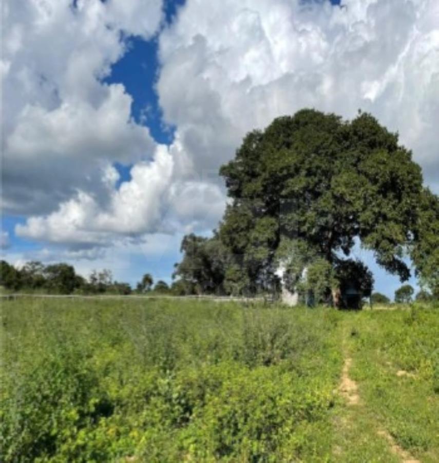 ARINOS/MG GLEBA DE TERRAS NA FAZENDA RIO CLARO COM ÁREA DE 99,90,00HA LEILÃO EXTRAJUDICIAL DE IMÓVEIS, localizado em Arinos - MG