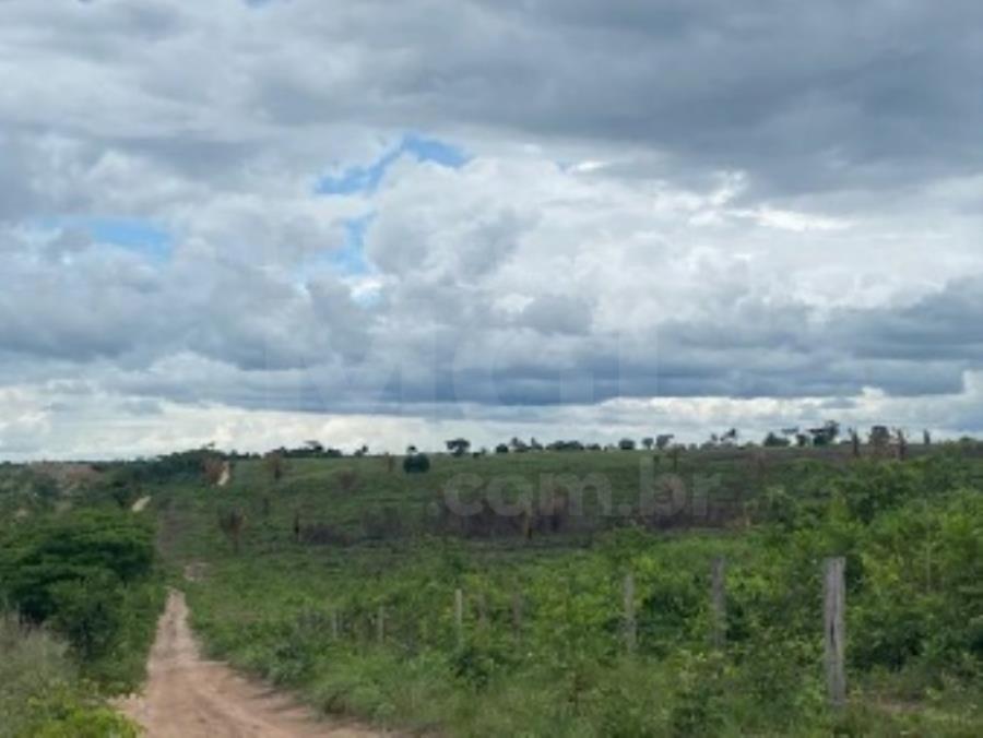 Imagem do imóvel VILA NOVA DOS MARTÍRIOS/MA - FAZENDA SANTA MARIA PARTE 02 COM ÁREA DE 104,4522HA LEILÃO EXTRAJUDICIAL DE IMÓVEIS