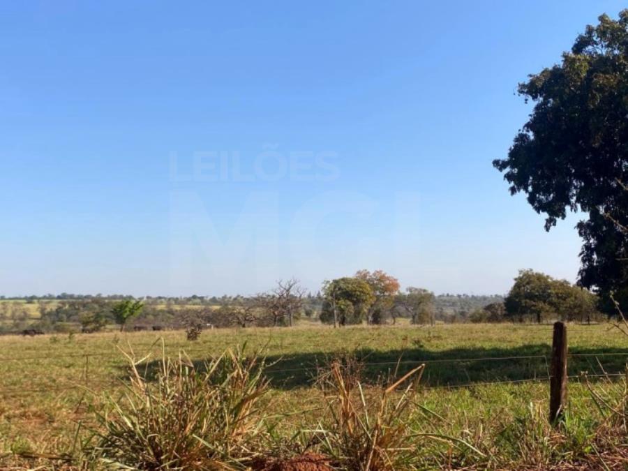 ITAPAGIPE/MG – Fração ideal de 12,5% da Fazenda Moeda ou Moeda de Cima, equivalente a 10,55,14 ha LEILÃO EXTRAJUDICIAL DE IMÓVEIS, localizado em Itapagipe - MG