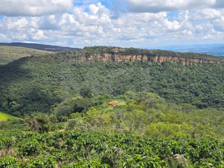 GUAPÉ/MG- FAZENDA BOQUEIRÃO IMÓVEIS RESIDENCIAIS (CASAS, LOTES E APARTAMENTOS) | MG, localizado em Guapé - MG