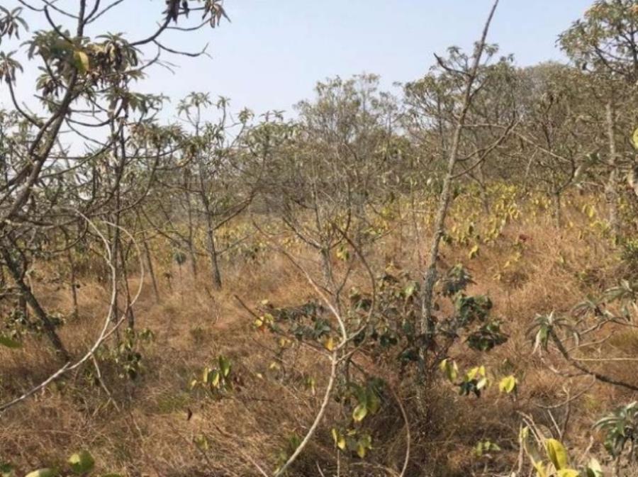 Imagem do imóvel SÃO THOMÉ DAS LETRAS/MG — Terreno Rural com 20,83,00 hectares na "Serra do Pião" IMÓVEIS | MG | MA